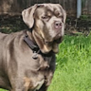 Meet your Posher, Colby